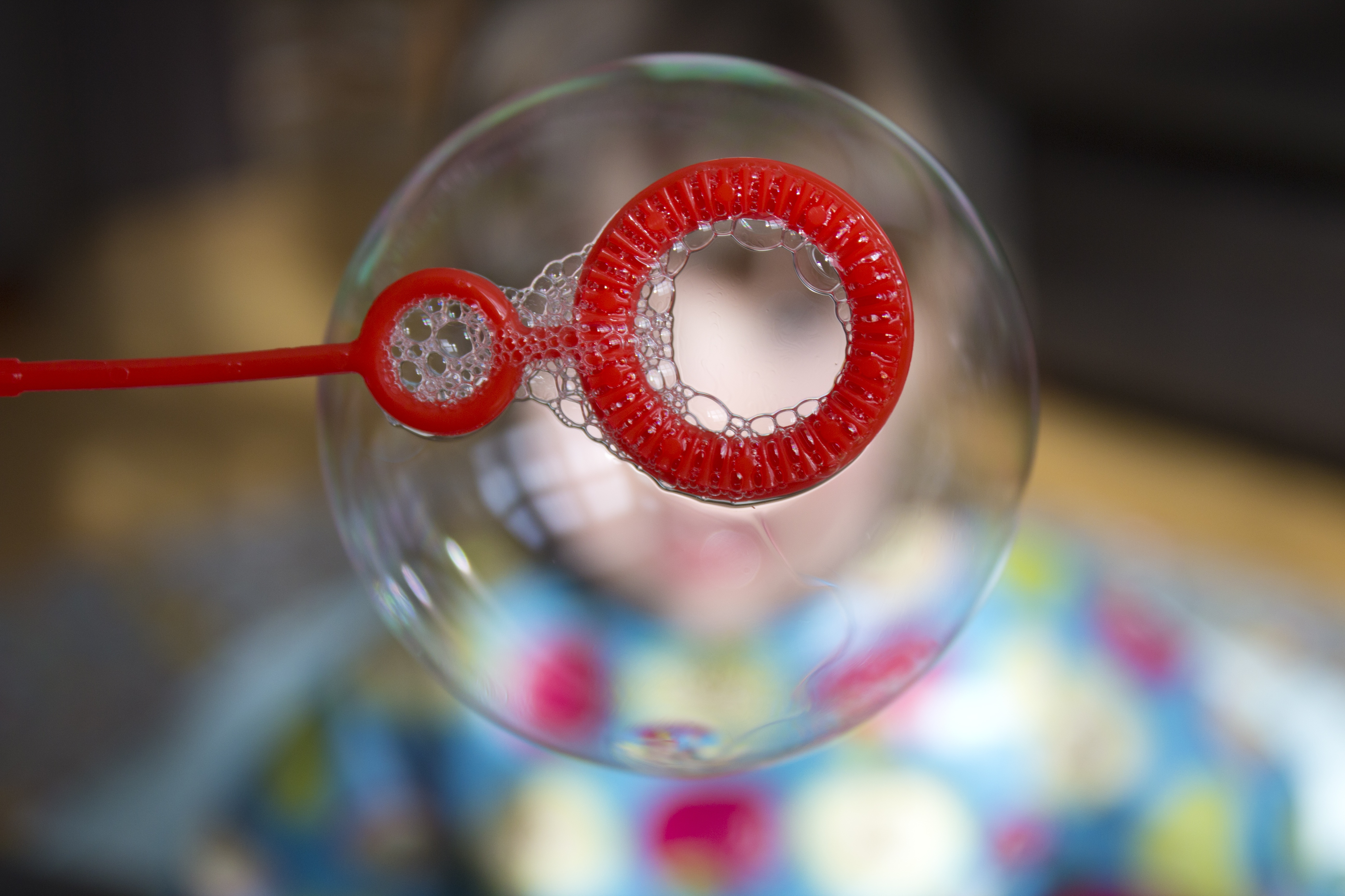 soap-bubble-439103